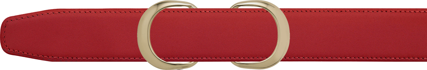 Double Loop Buckle & Strap