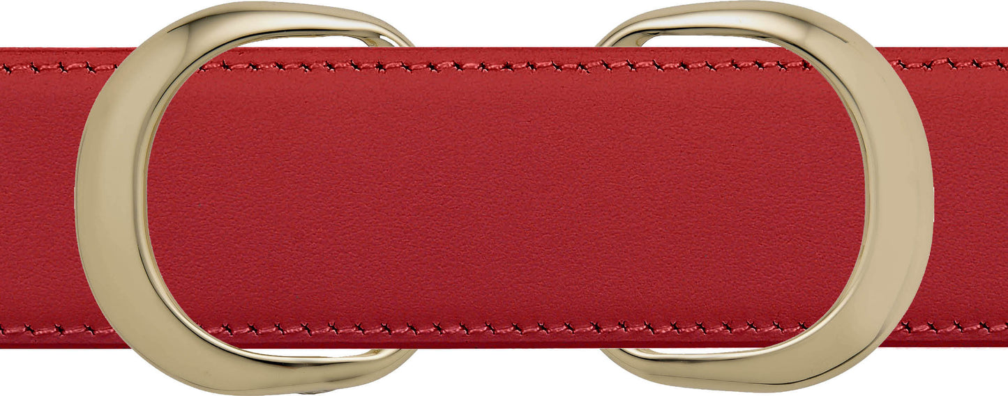 Double Loop Buckle & Strap