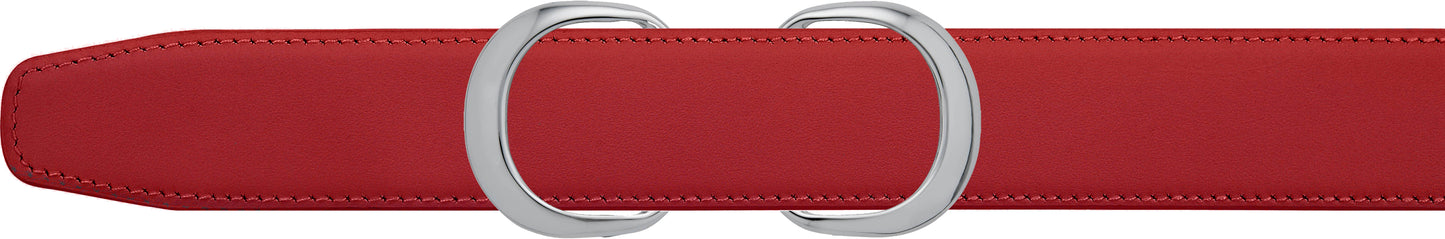Double Loop Buckle & Strap